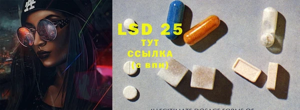 молекула духа Арсеньев