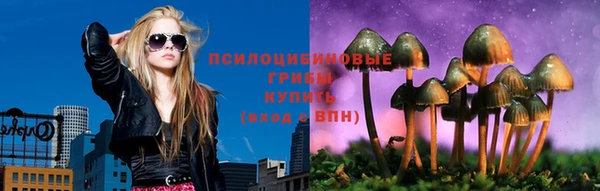 молекула духа Арсеньев