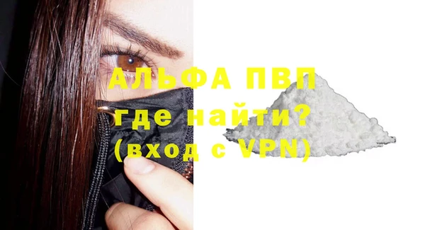 молекула духа Арсеньев