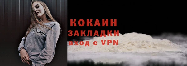 молекула духа Арсеньев