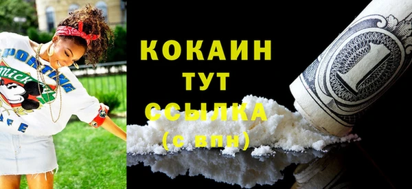 молекула духа Арсеньев