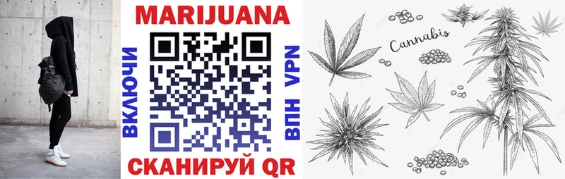 Бошки Шишки ГИДРОПОН Плёс